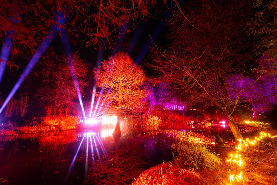 Light Up Trails At Hillier Gardens Award Winning Christmas Light 